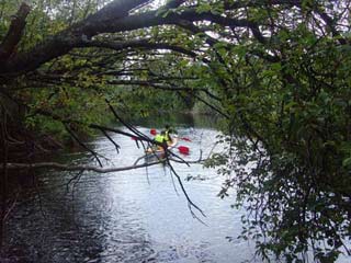 Baidarių nuoma Šventojoje "AKMENINĖ SALA"