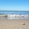 Long term rental of Villa - Hotel - Guest house for holiday rental business in Palanga
