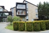 Holiday only 80 meters to the sea in the pinewood