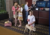 Offer for families in hotel in Palanga "Best Baltic Hotel Palanga"