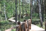 "Pelkių takas", "Skulptūrų parkas" pramogų komplekse HBH
