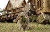 Mini zoologijos sodas, etnografinis muziejus sodyboje "Vienkiemis"