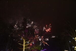 Kaledų eglutės įžiebimas Palangoje (14)