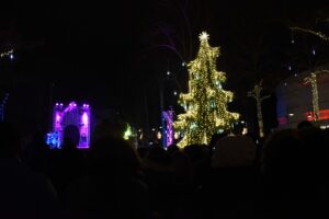 Kaledų eglutės įžiebimas Palangoje