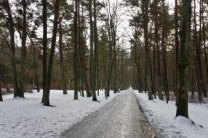 Palanga