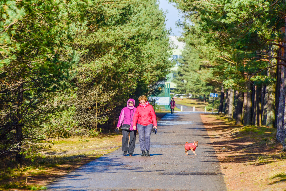 Palanga