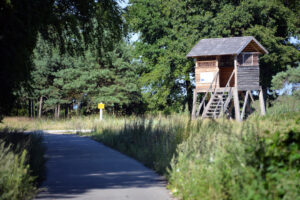 Neringos dviračių takas