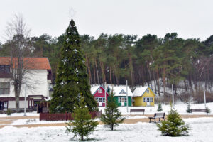 Kalėdinė eglė Nidoje