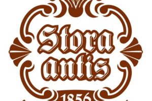 Stora antis