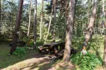 Villa Krantas Palangā 30 m līdz pludmalei! - 5