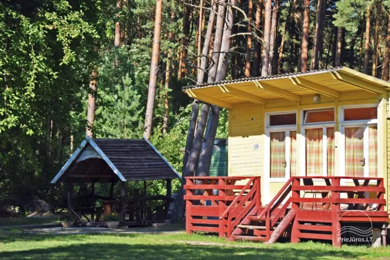 NUO 10 € / asm. - Nebrangūs nameliai Šventojoje pušyne, labai arti jūros ir centro