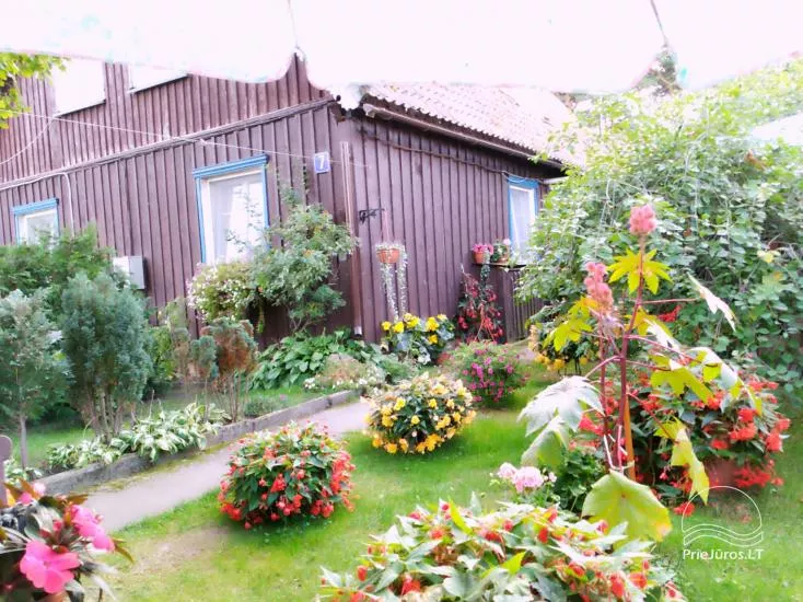 Kambarių nuoma sodyboje Nidoje