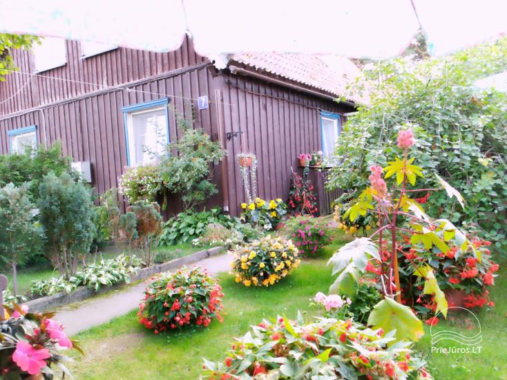 Kambarių nuoma sodyboje, Lotmiškio g. 7, Nida - 1