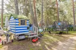 Nameliai „Undinėlė“ prie Beždžionių tilto, pušyne, 150 m iki jūros