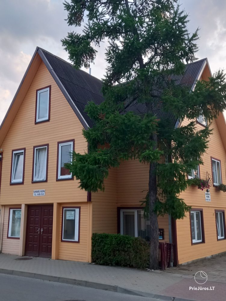 Kambarių, butuko, namelio nuoma Palangoje. 500 metrų iki jūros - 1