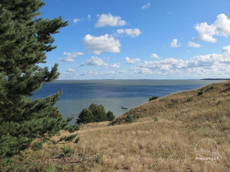 „Pušų Mylia“ - 1