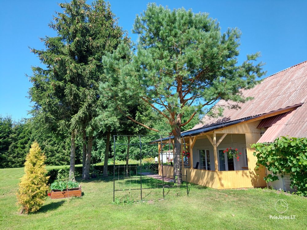 Sodybos bei buto nuoma Kintuose - 1