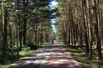 Dviejų kambarių butas su terasa nuomai Palangoje
