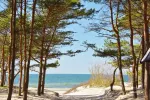 Rami ir saugi vieta Jūsų atostogoms Palangoje, Kunigiškiuose! Yra galimybė naudotis šildomu baseinu!