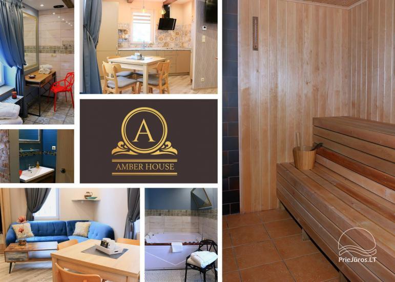Mazā brīvdienu māja ar džakuzi Amber House