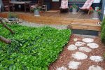 Izīrē dzīvokli Palangā. Līdz jūrai tikai 300 metri!