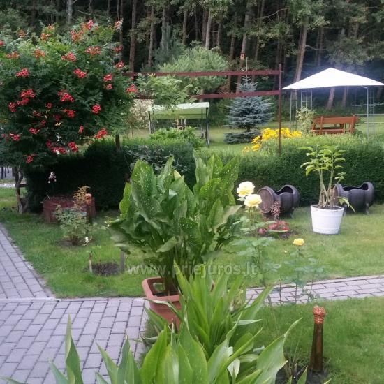 Ventė Šturmų sodyba - poilsio namelis, apartamentai, studio apartamentai