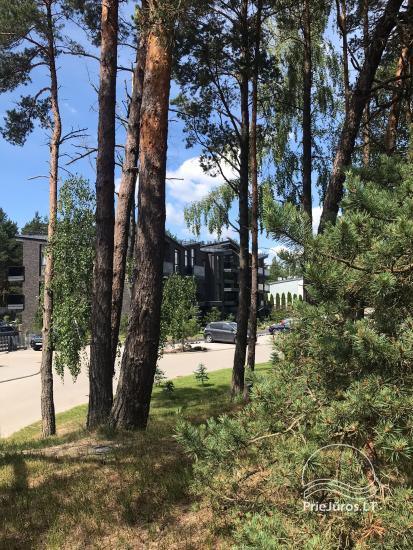 Sidabrinė kopa apartamentai Palangos pušyne