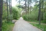 Flat for rent in Palanga, near the sea. There are bikes!