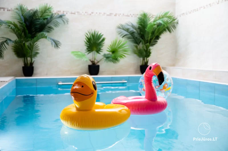 Agluonėnų parko apartamentai + SPA / Baseinas / Jacuzzi / Pirtis
