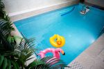 Agluonėnų parko apartamentai + SPA / Baseinas / Jacuzzi / Pirtis - 6