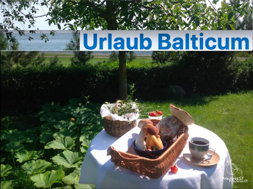 Nuoma Juodkrantėje prie Baltijos jūros. Butas autentiškame, istoriniame name, iš kiemelio - vaizdas į marias. - 1