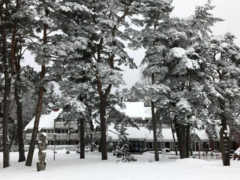 Viesu nams SKALVA Nidā: kur lagūna satiekas ar priežu meža mieru!
