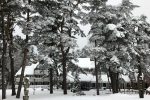 Svečių namai SKALVA“ Nidoje: ten, kur marios susitinka su pušyno ramybe! - 4