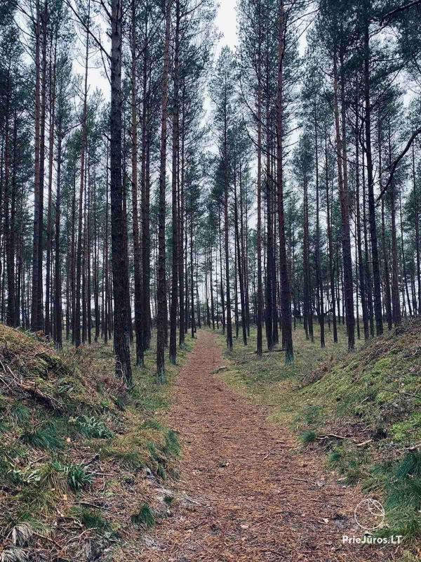 Tiek izīrēts dzīvoklis Mano Jura Palangā, Kunigiškiai