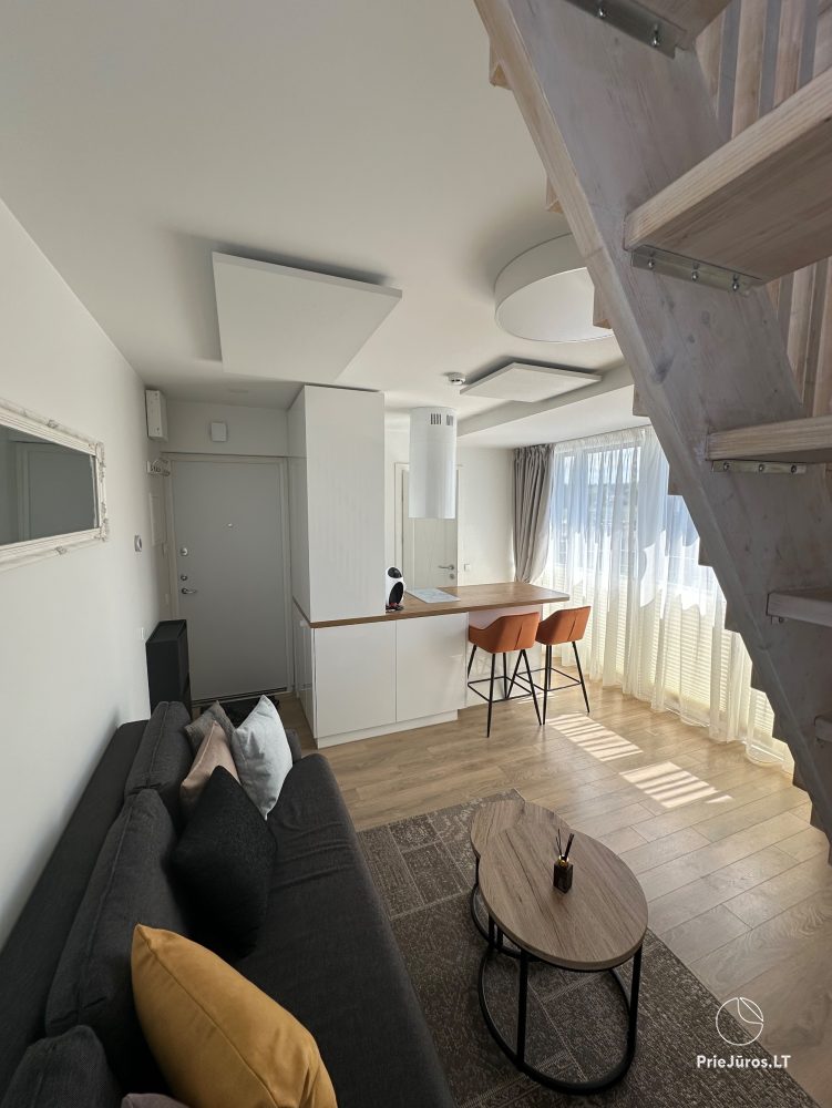 Mājīgi dzīvokļi jūsu atpūtai Kunigišķēs ar āra baseinu - 1