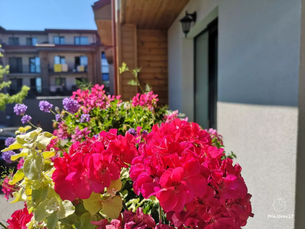 Atpūta Malūņu vilos apartamentos Palangā - 1