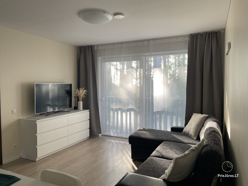 Apartamentų nuoma Preiloje su vaizdu į pušyną Preila4You - 1