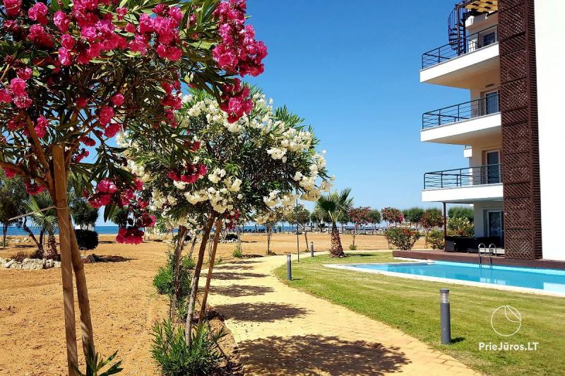 Mājīgs četrvietīgs dzīvoklis ar lielu terasi Kiprā