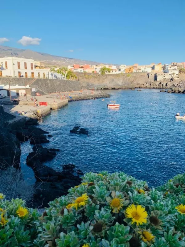 „Apartamento Playa Mendez - PRIMERA LINEA DE PLAYA“ dzīvokļi Tenerifē
