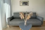 Alyvų namai - skandinaviško stiliaus loftai Nidoje - 2