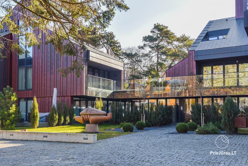 Jaukūs dviejų kambarių apartamentai poilsiui Palangoje