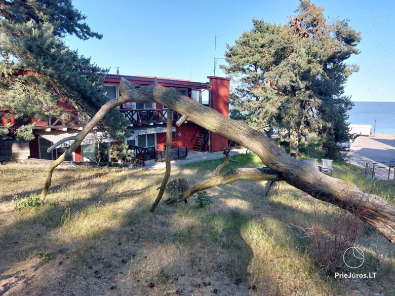 Poilsis Nidoje Pušelė