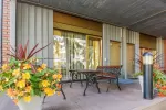 Vienaragio Apartamentai Prie parko Palangoje
