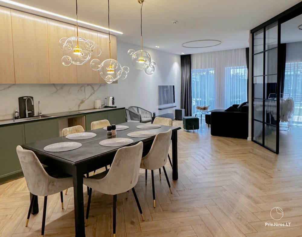 Erdvūs apartamentai Nidoje su terasa ir SPA zona - 1