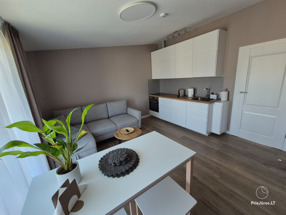 MAS Palanga - jaukaus apartamento nuoma Jūsų poilsiui! - 1