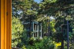 Apartamentai Birutė Palangoje, šalia botanikos parko. 100 metrų iki jūros! - 2