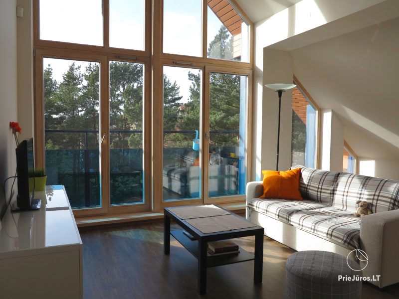 Butas su vaizdu į pušyną