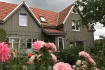 Apartamentų nuoma Ramybės gatvėje