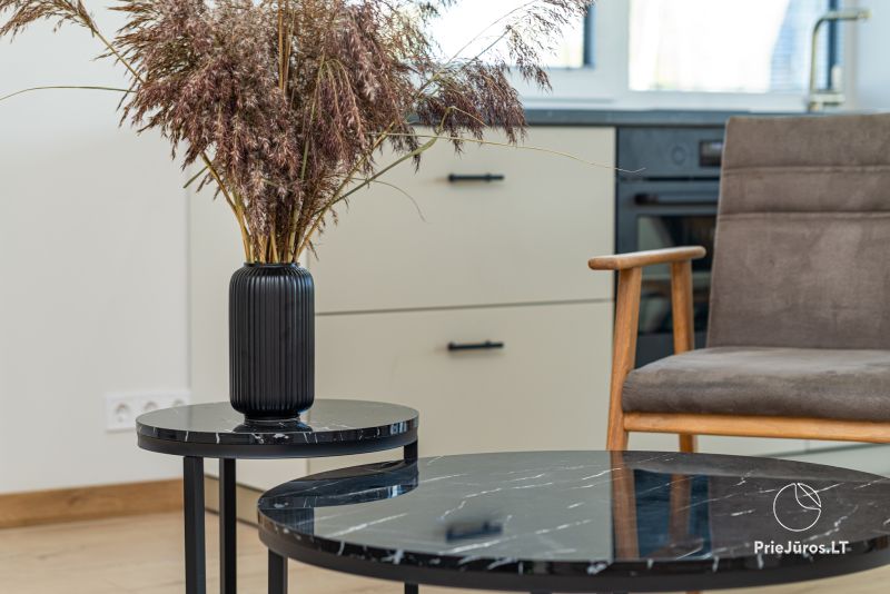 Naujų namų nuoma Amber Stone Monciškės