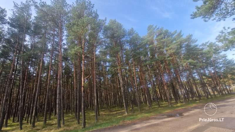Jaukaus buto nuoma su terasa ir šildomu baseinu
